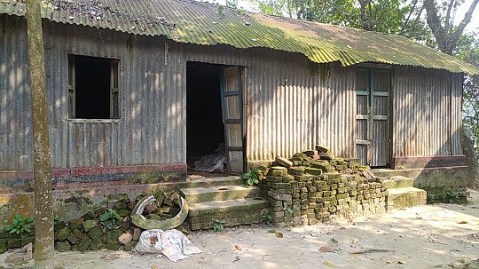 image-here